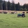 jbwwerodeo